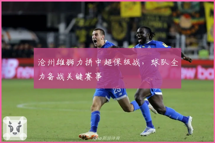 沧州雄狮力拼中超保级战,球队全力备战关键赛事