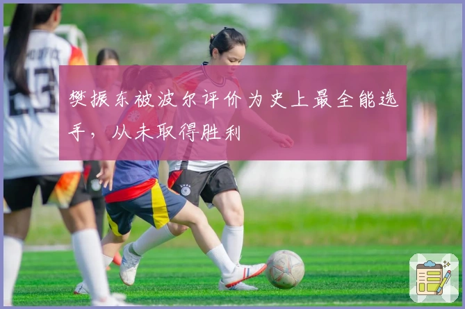 樊振东被波尔评价为史上最全能选手，从未取得胜利