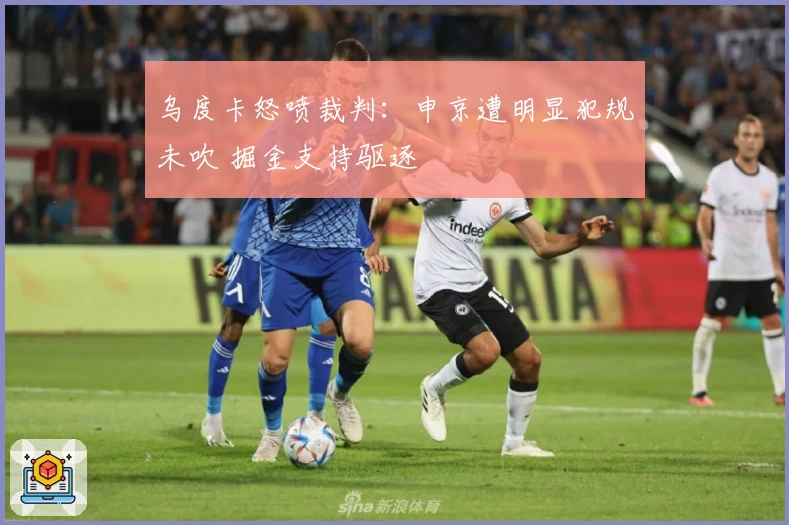 乌度卡怒喷裁判：申京遭明显犯规未吹 掘金支持驱逐