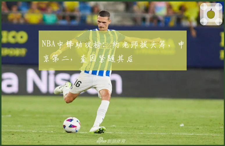 NBA中锋助攻榜：约老师拔头筹，申京第二，奎因紧随其后